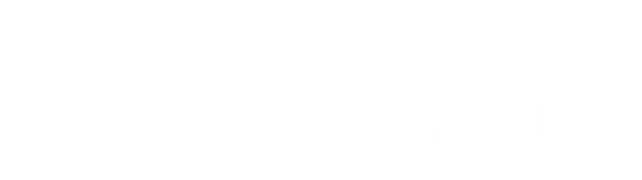 everest-group-logo-white