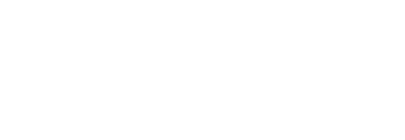 Polaris logo